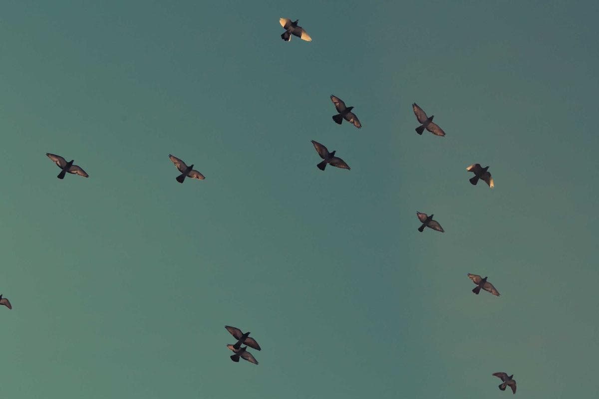 5 Ways to Get More Clients Consistently